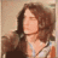 gifs for ants GIF