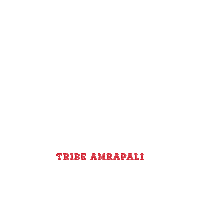 TribebyAmrapali tribe amrapali tribeamrapali tribebyamrapali nav chandrika Sticker