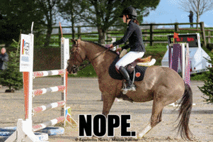 Horse-fail-jump GIFs - Get the best GIF on GIPHY