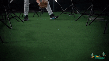 Tulane Rollwave GIF by GreenWave