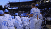 University Of North Carolina Baseball GIF by UNC Tar Heels