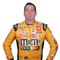 Kyle Busch Nascar Sticker by Joe Gibbs Racing