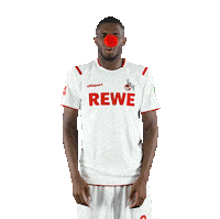 1 Fc Cologne Bundesliga Sticker by 1. FC Köln