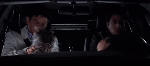 stevencervantes62a5b5dec0d54a529f588e34985d9a8c racoon haroldandkumar harold and kumar movie viciousracoon GIF