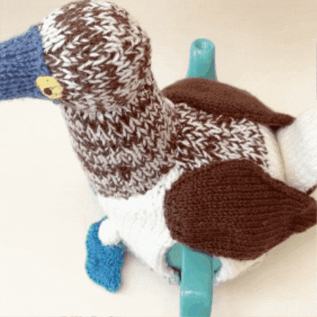 Sea Bird GIF by TeaCosyFolk