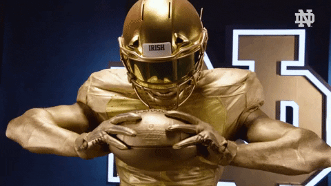 Notre Dame Gold GIF by Notre Dame Fighting Irish