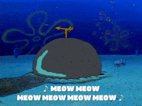 season 1 episode 13 GIF by SpongeBob SquarePants