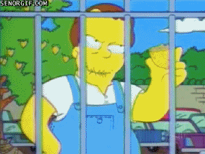 the simpsons lemons GIF by Cheezburger