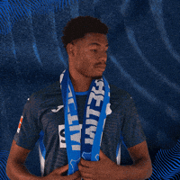 Sport Frees GIF by TSG Hoffenheim