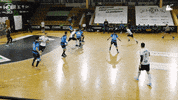 Czech Republic Handball GIF by HCB Karviná