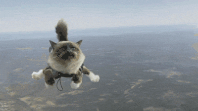 cat flying GIF