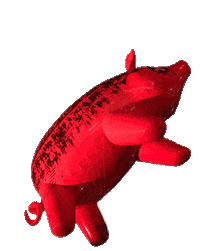 Pink Floyd Sticker by Pink Different