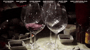 GIF by PBS Digital Studios
