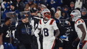 Stefon Diggs Football GIF by New England Patriots