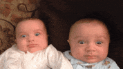 shocked GIF by America's Funniest Home Videos