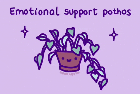 Plant Support GIF