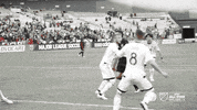 soccer mls GIF by D.C. United