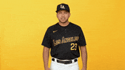Cal State La Sport GIF by Cal State LA Golden Eagles