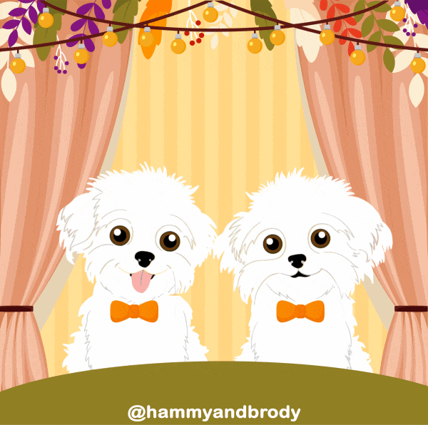 Dogs Dinner GIF by HammyandBrody