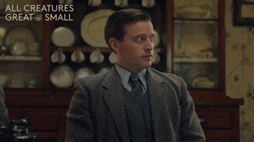 Oh No Omg GIF by All Creatures Great And Small