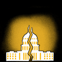 Capitol Building Democrat GIF by Creative Courage