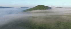 alabama GIF