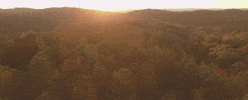 alabama GIF