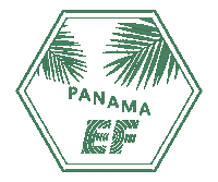 explore lets go Sticker by EF Education First