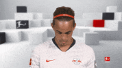 Happy Red Bulls GIF by Bundesliga