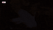 Alba GIF by Albacete Balompie