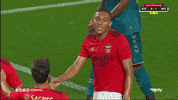 For You Slbgif GIF by Sport Lisboa e Benfica