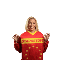 Stan Sticker by Starostové a nezávislí