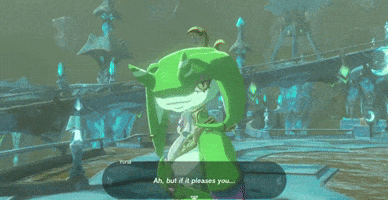 The Legend Of Zelda GIF