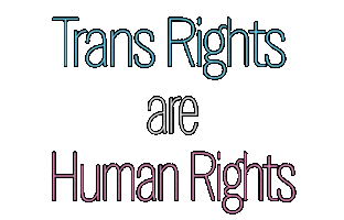 Lgbt Trans Sticker by PinkNews
