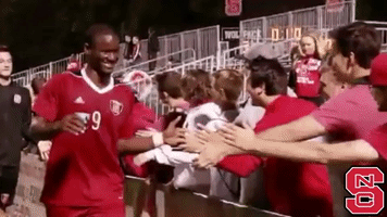 nc state wolfpack GIF by NC State Athletics