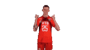 Volleyball Sticker by WorldChampsInRussia