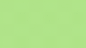 St Patricks Day Drinking GIF