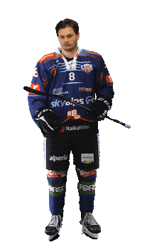 Ice Hockey Sport Sticker by Rittner Buam