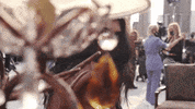 New York Fashion Week Rebecca Minkoff GIF by NYFW: The Shows