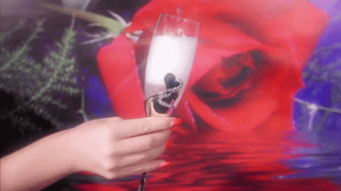 Digital art gif. Red-manicured hand holds a sparkling flute of bubbling champagne in front of a soft background of a red rose and ferns.