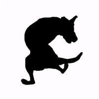 dfeijoostudio dog endless perro chien GIF