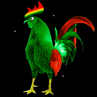 galloverde gallo gv galloverde gallo verde GIF