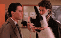 kyle maclachlan llama GIF