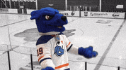 ontariotechridgebacks oshawa ontariotechridgebacks ontariotech ridgeback GIF