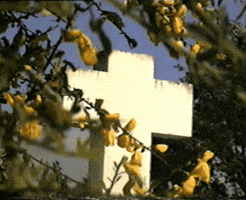 Heavy Metal Rock GIF by Medalla