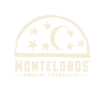Drink Mexico Sticker by Ancho Reyes