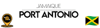 Nn Antonio Sticker by NoirNomads