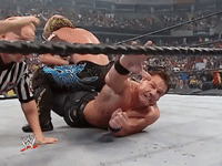 wwe sports wwe wrestling summerslam GIF