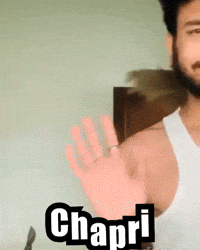 PG_Roadie elvish yadav chapri prince narula GIF