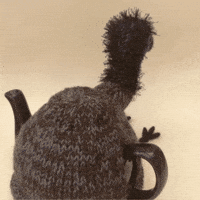 Big Bird GIF by TeaCosyFolk